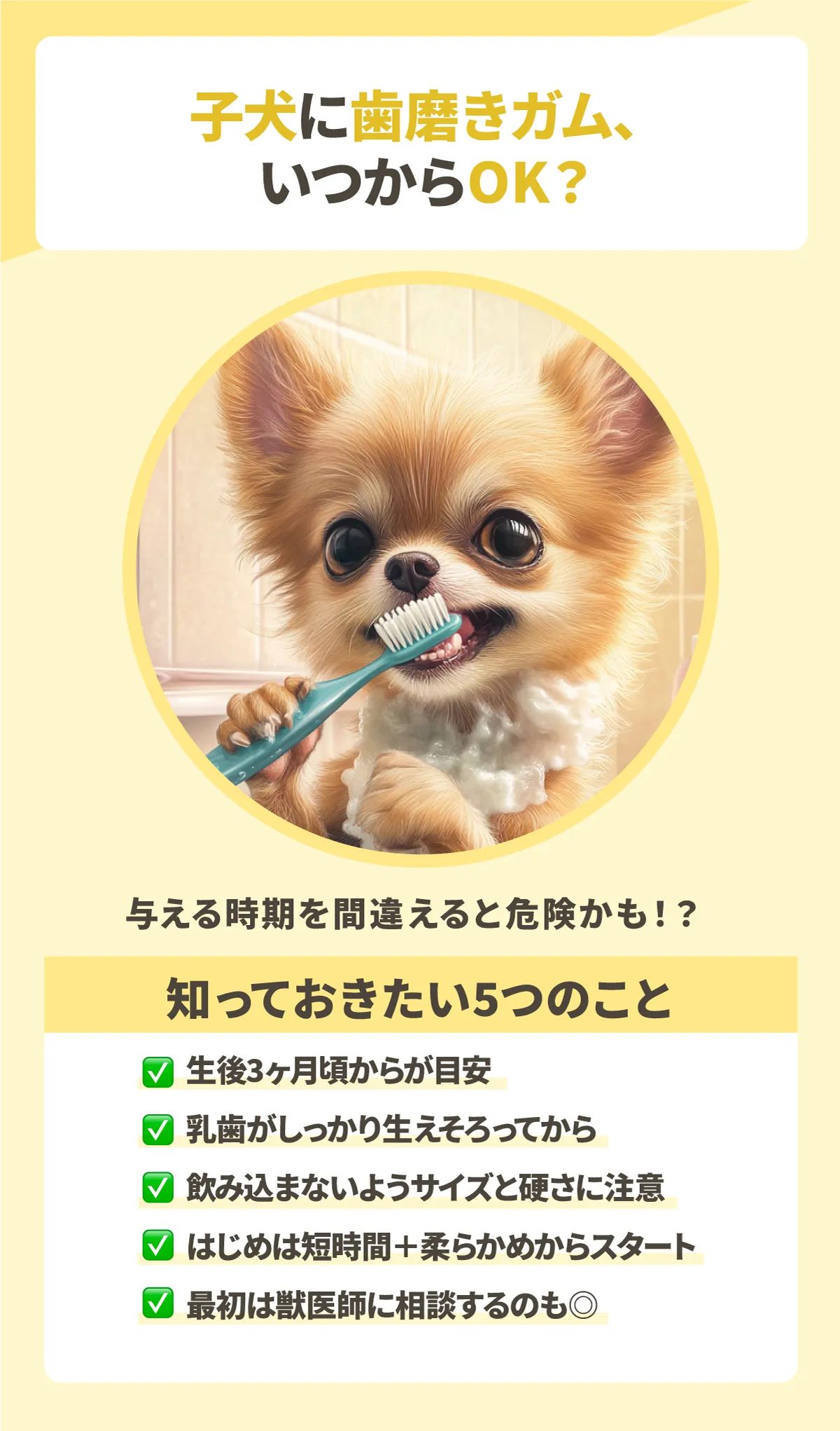 犬のデンタルケアは歯磨きガムだけで予防できる？