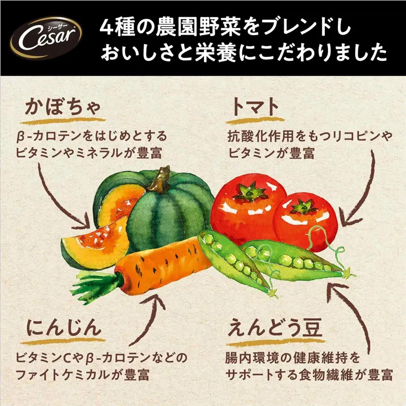 シーザー ドライタイプ成犬用チキンと4種の農園野菜入り 