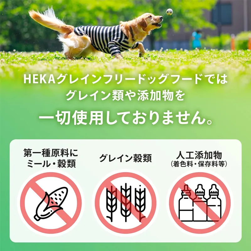 HEKA グレインフリー ドッグフード ターキー