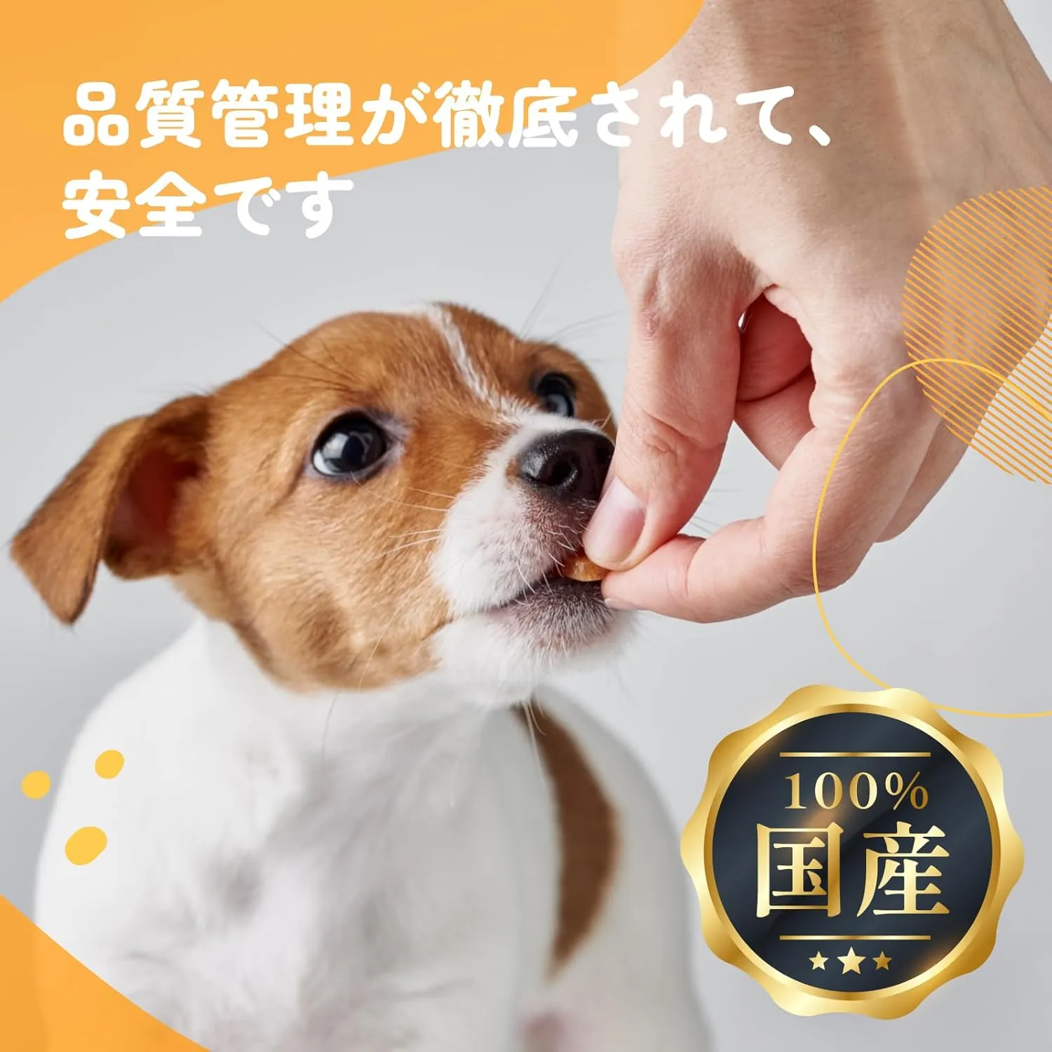  iPaw 犬 おやつ ターキーアキレス ロングタイプ