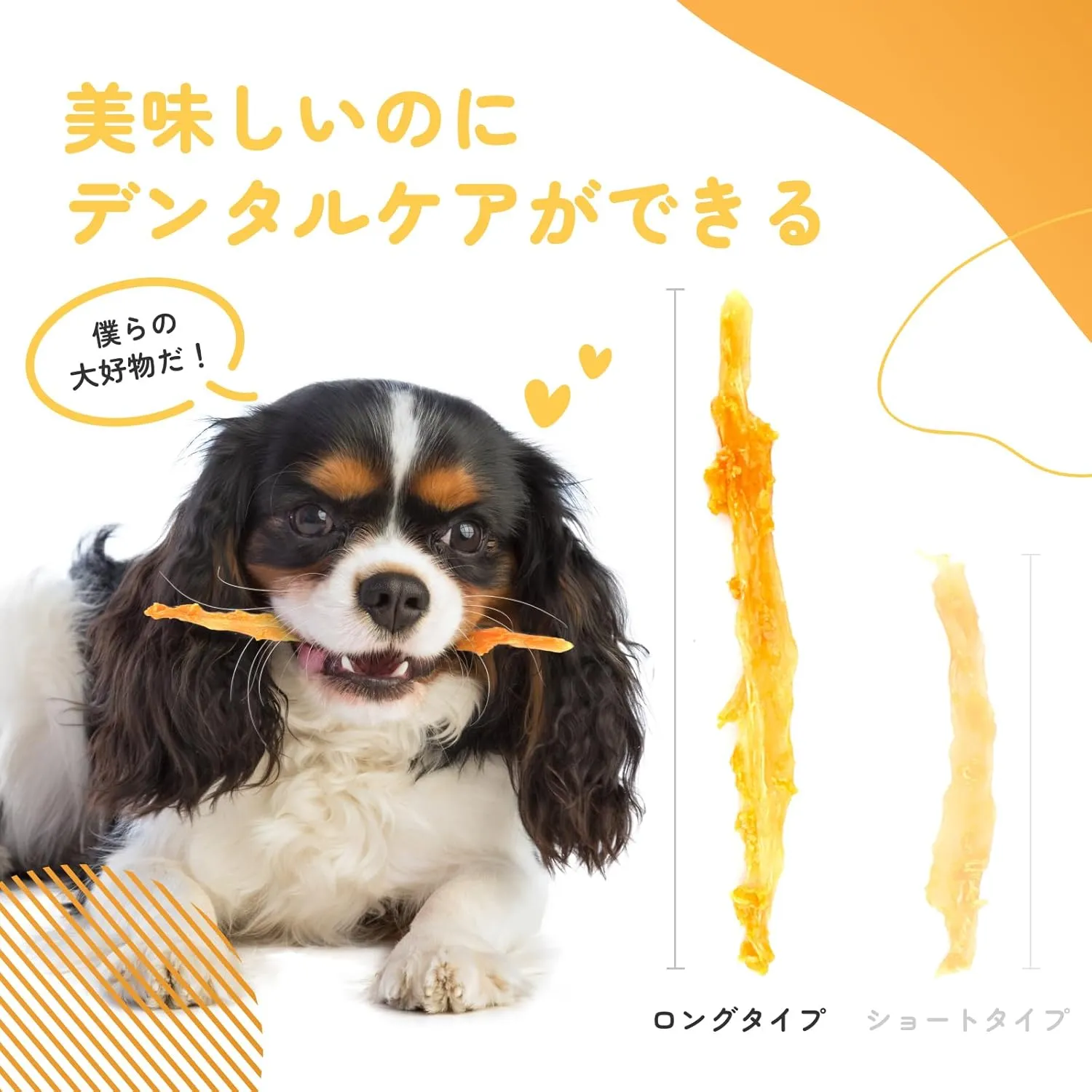  iPaw 犬 おやつ ターキーアキレス ロングタイプ
