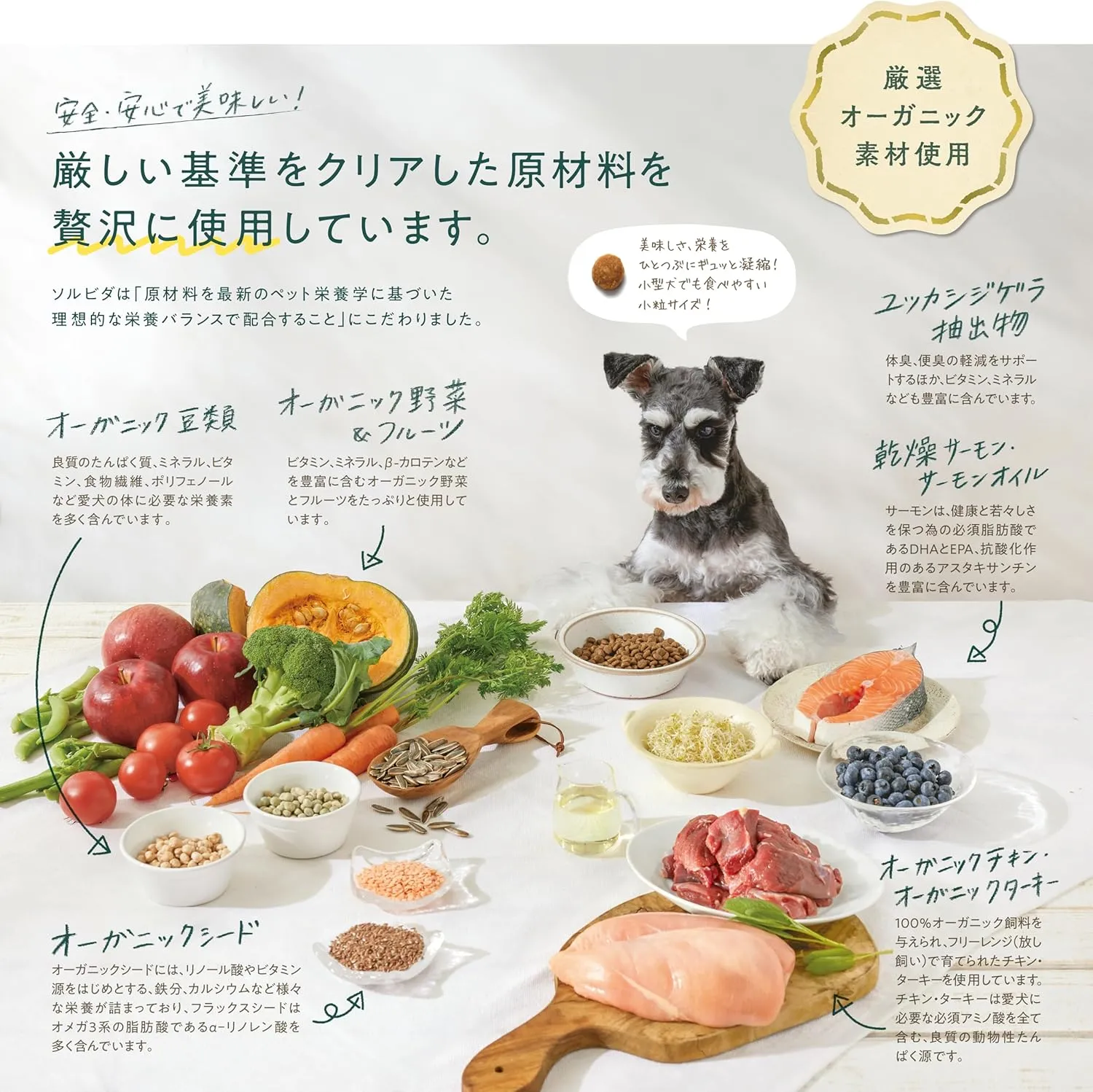ソルビダ グレインフリー チキン 室内飼育成犬用