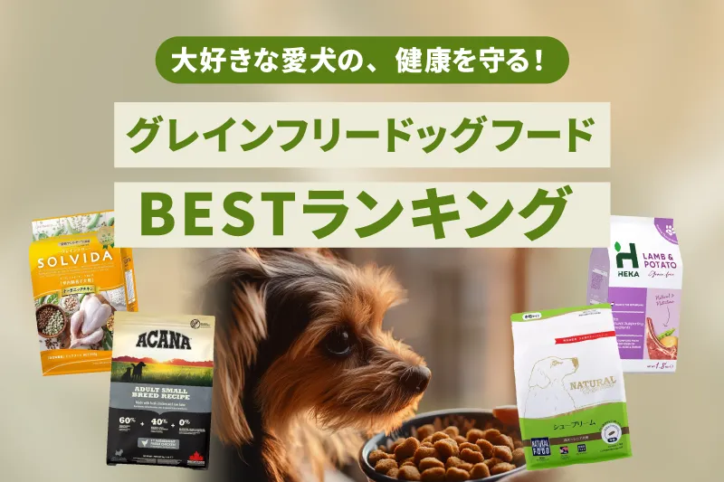 グレインフリーのおすすめドッグフード！評判の良い餌を徹底比較!!