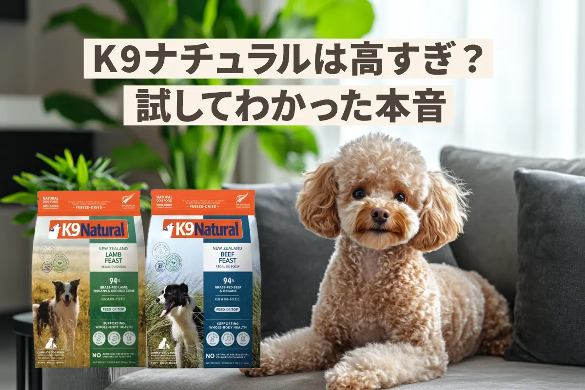 【正直レビュー】K9ナチュラルは高すぎ？ビーフ＆ラムを試してわかった本音
