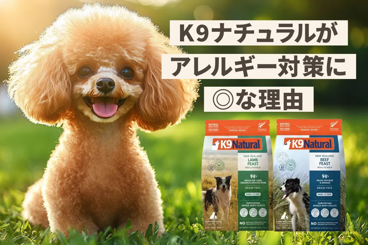 【アレルギー対策に◎】K9ナチュラルをトイプードルに与えた本音レビュー｜安全性・原材料・口コミまとめ