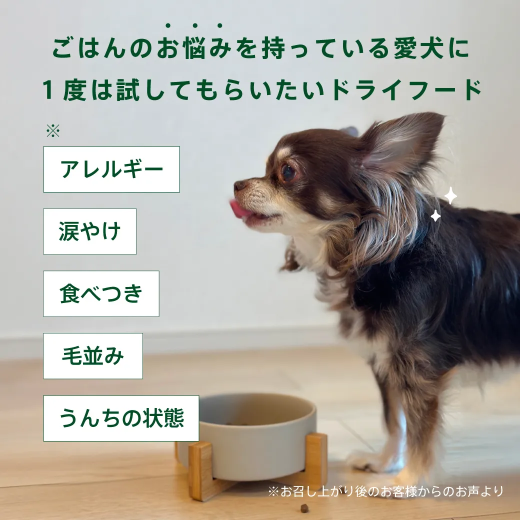 HEKA グレインフリー ドッグフード ターキーのこだわり